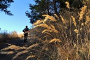 Anello dei TRE FAGGI da Fuipiano con Zuc di Valbona-Valmana, I Canti, Pralongone, i Tre Fagg il 18 dic. 2018- FOTOGALLERY